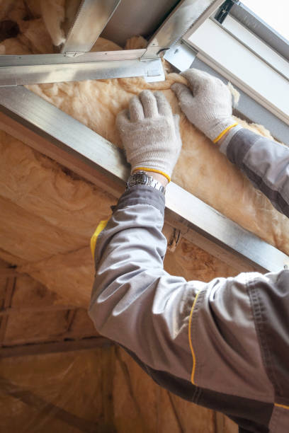 Best Commercial Insulation in Heyworth, IL
